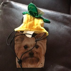 Small dog pineapple costume